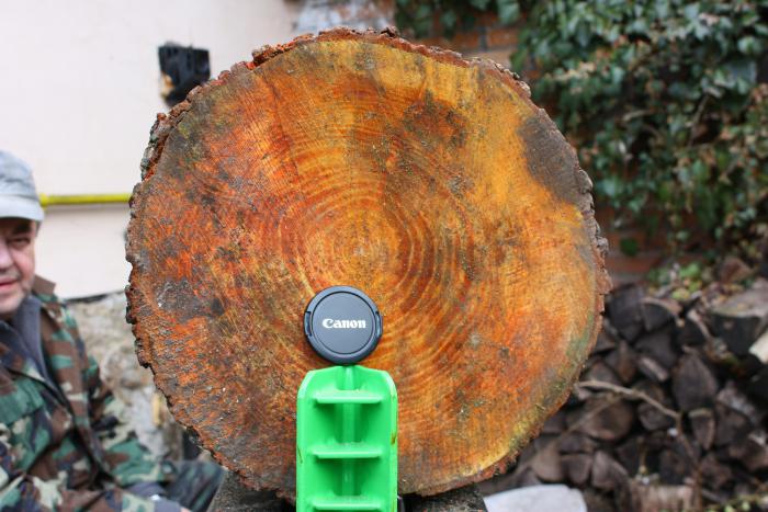 foto k příspěvku  od ibizman