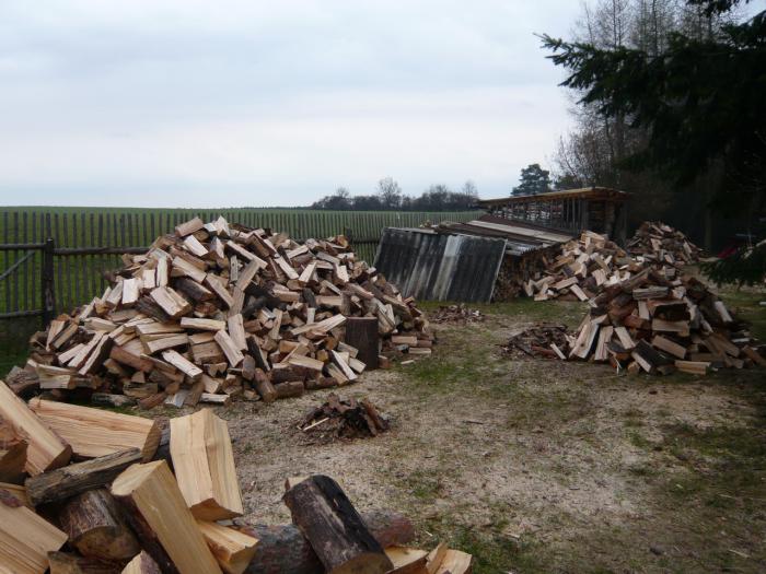 foto k příspěvku  od FSAL