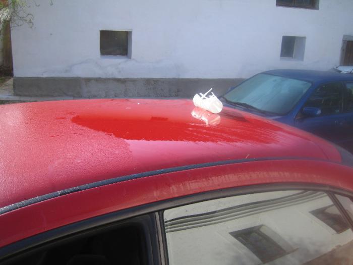 foto k příspěvku  od Lucass