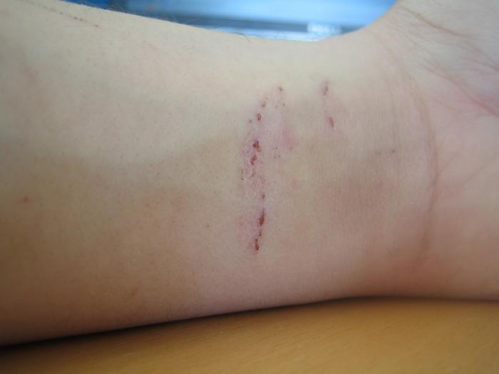 foto k příspěvku  od Lucass