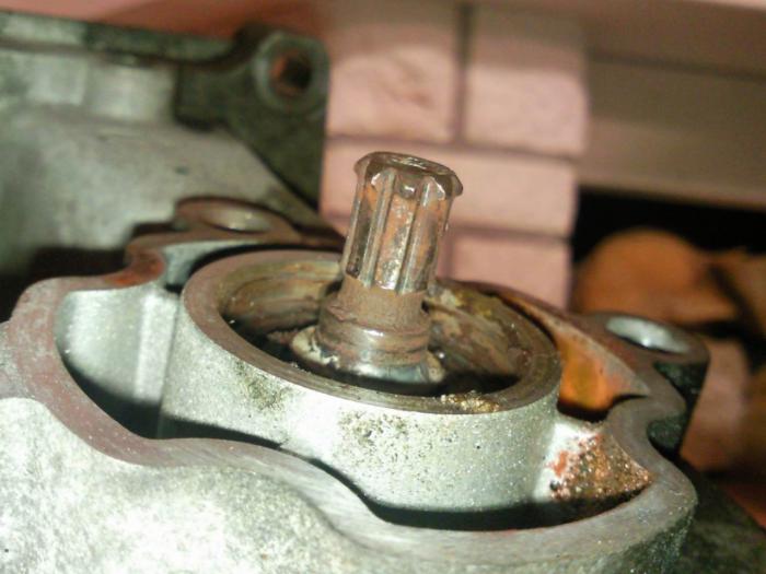 foto k příspěvku  od ACEMajky