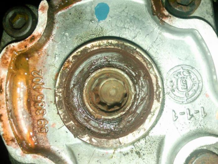 foto k příspěvku  od ACEMajky