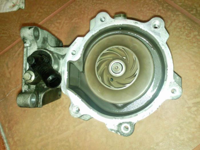 foto k příspěvku  od ACEMajky