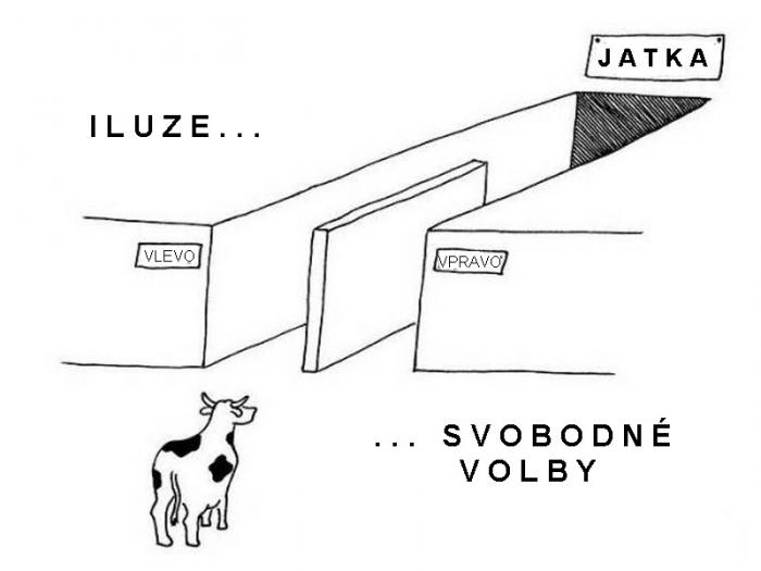 foto k příspěvku  od tykeev