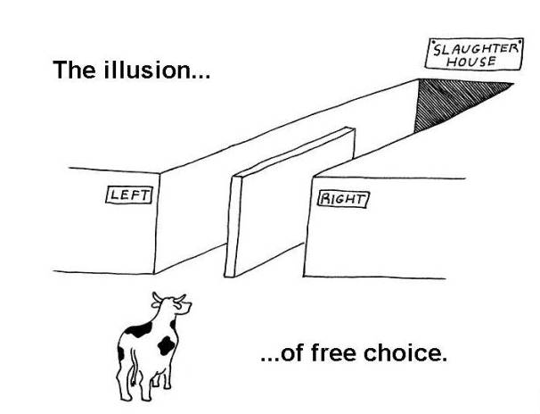 foto k příspěvku  od Bart 007