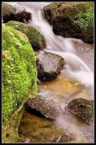 foto k příspěvku  od Crimson