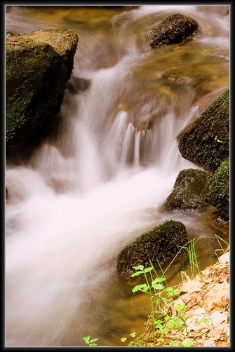 foto k příspěvku  od Crimson