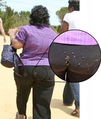 foto k příspěvku  od Bulík