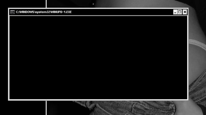 foto k příspěvku  od dolph