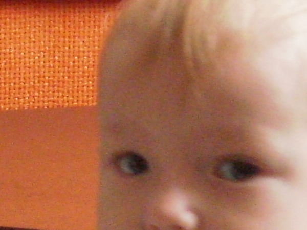 foto k příspěvku  od Crimson