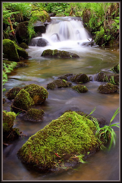 foto k příspěvku  od Crimson