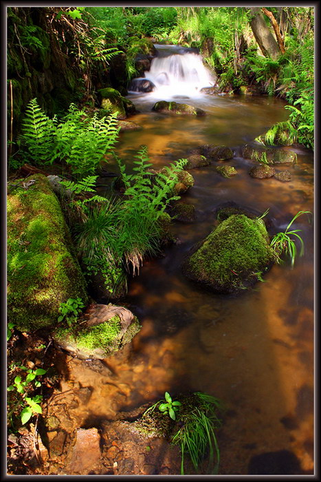 foto k příspěvku  od Crimson