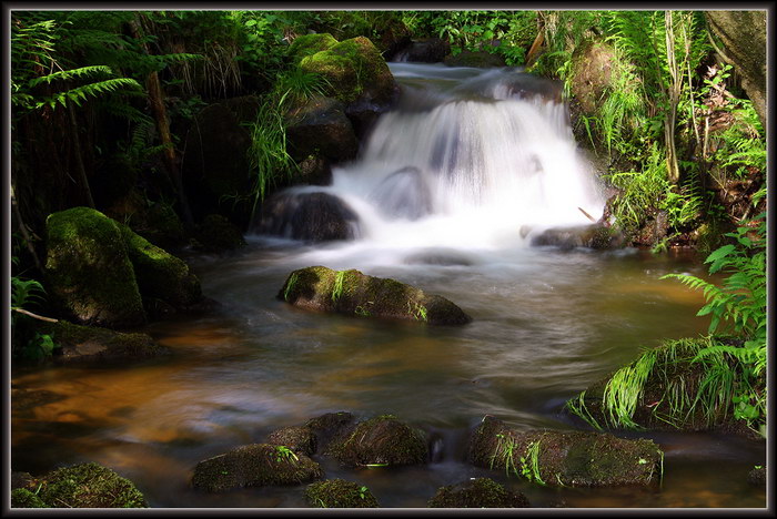 foto k příspěvku  od Crimson