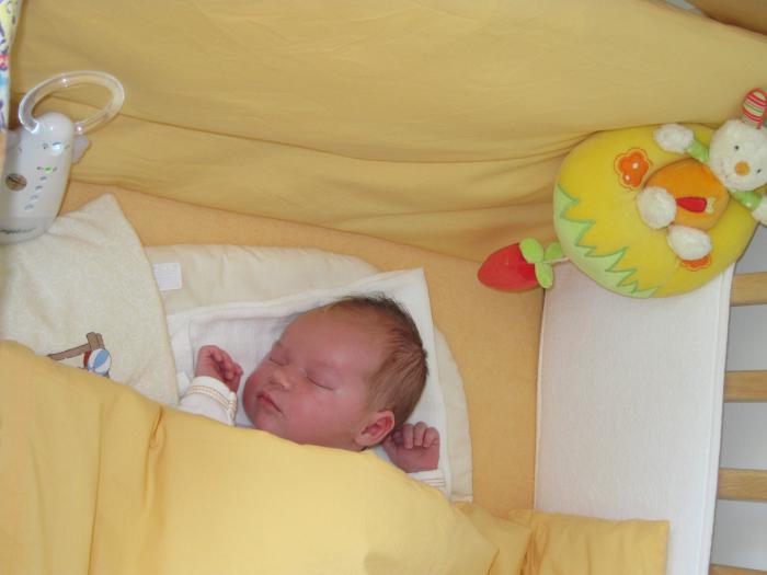 foto k příspěvku  od MazliG