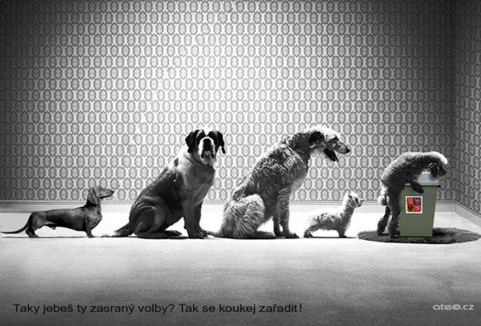 foto k příspěvku  od CervinVega