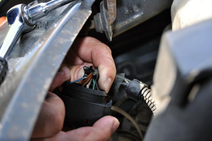 foto k příspěvku  od camron