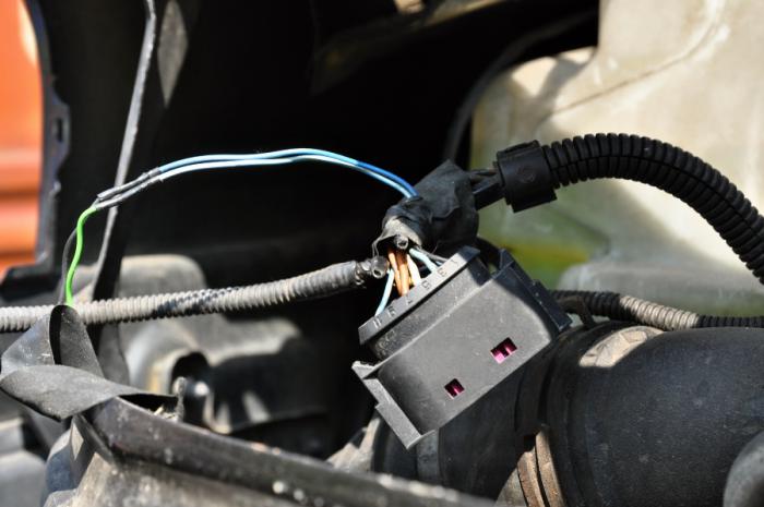 foto k příspěvku  od camron