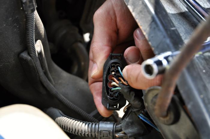 foto k příspěvku  od camron