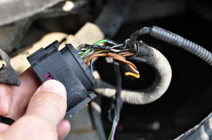 foto k příspěvku  od camron