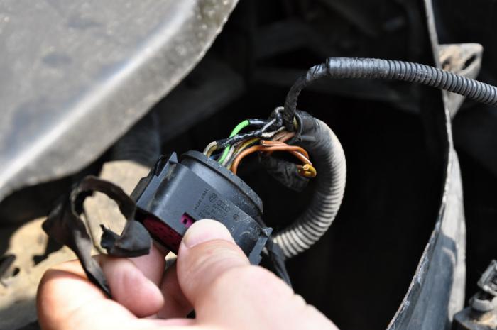 foto k příspěvku  od camron