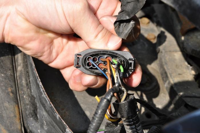 foto k příspěvku  od camron