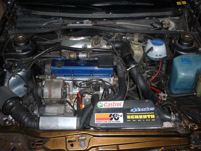 foto k příspěvku  od šedivákk