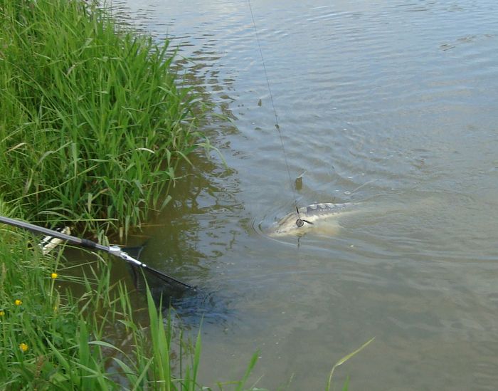 foto k příspěvku  od X-sat