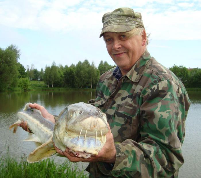 foto k příspěvku  od X-sat