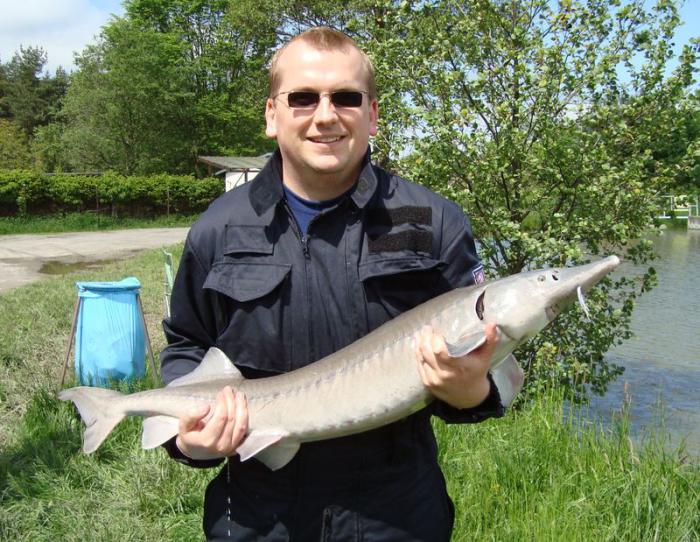 foto k příspěvku  od X-sat