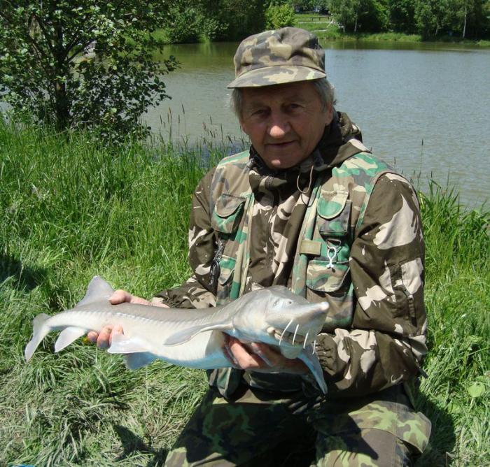 foto k příspěvku  od X-sat