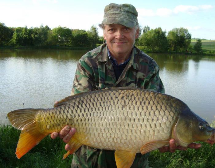 foto k příspěvku  od X-sat