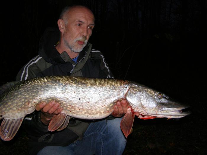 foto k příspěvku  od PlusOne