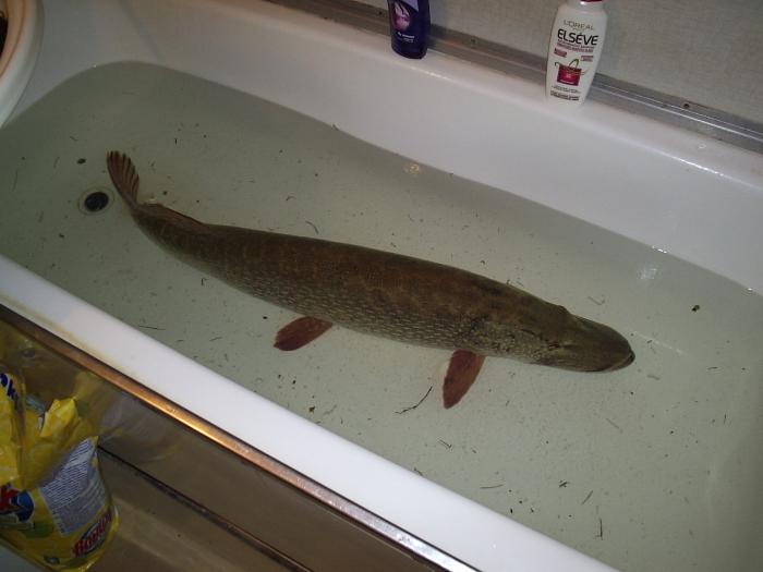 foto k příspěvku  od PlusOne