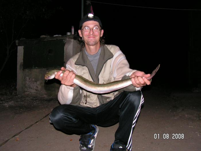 foto k příspěvku  od Zephyr