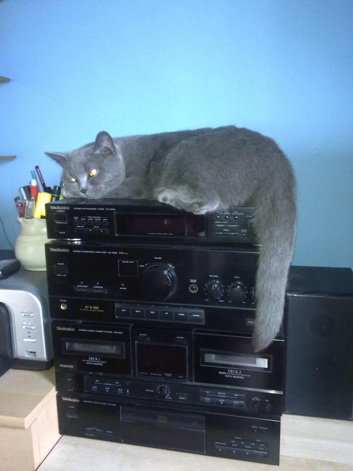 foto k příspěvku  od filip146