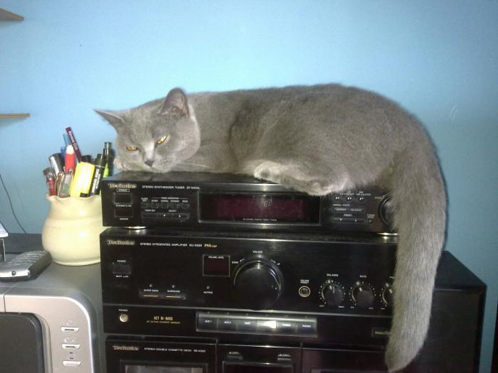 foto k příspěvku  od filip146