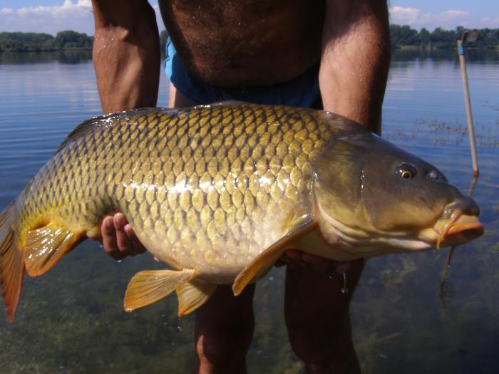 foto k příspěvku  od PlusOne