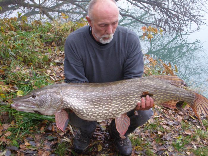 foto k příspěvku  od PlusOne