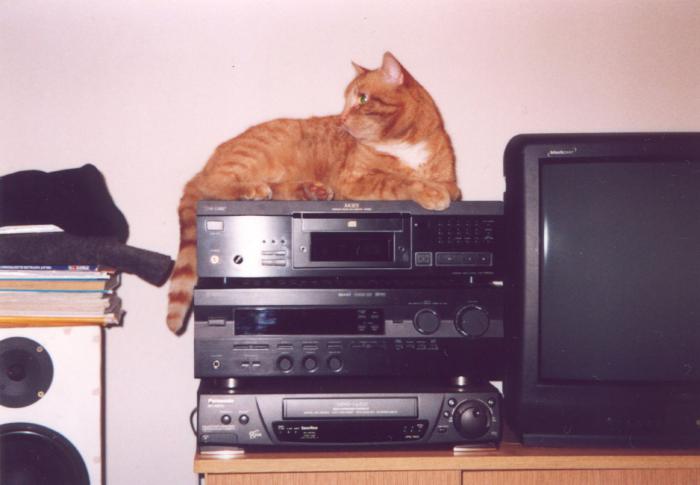 foto k příspěvku  od kulík