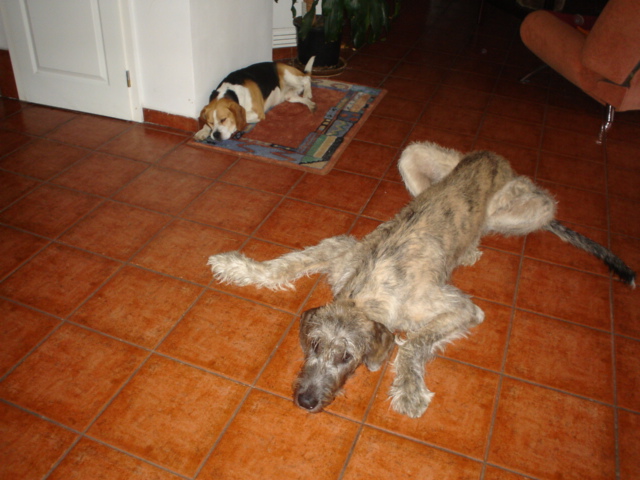 foto k příspěvku  od Pavel02