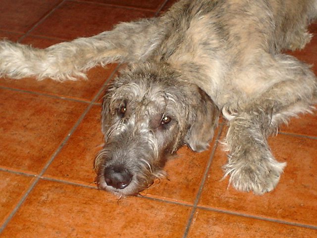 foto k příspěvku  od Pavel02