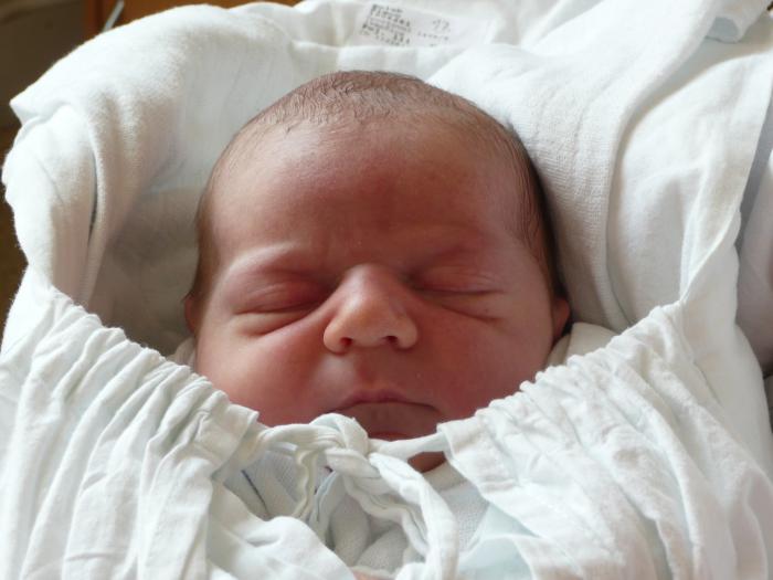 foto k příspěvku  od BULOH