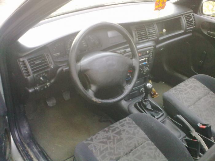 foto k příspěvku  od SpasitelKlokanu