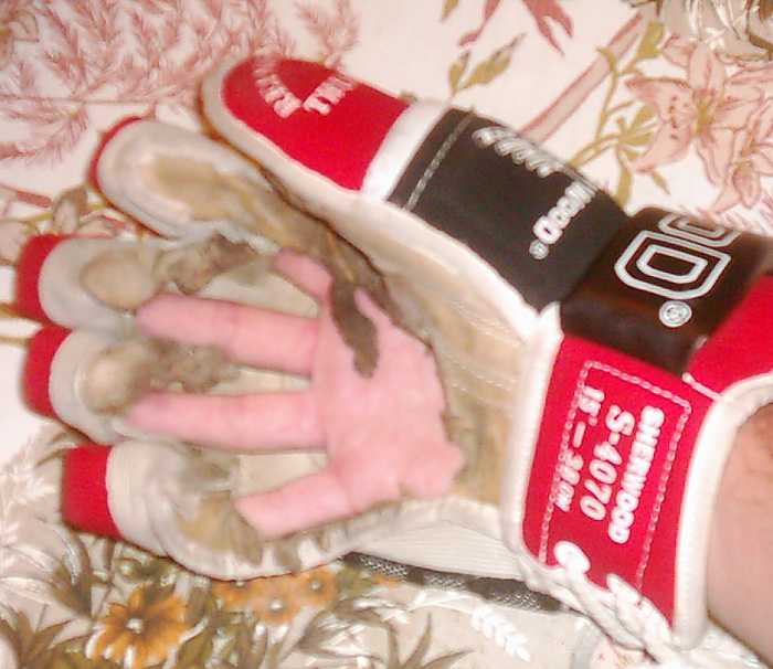 foto k příspěvku  od Legacy 2.5