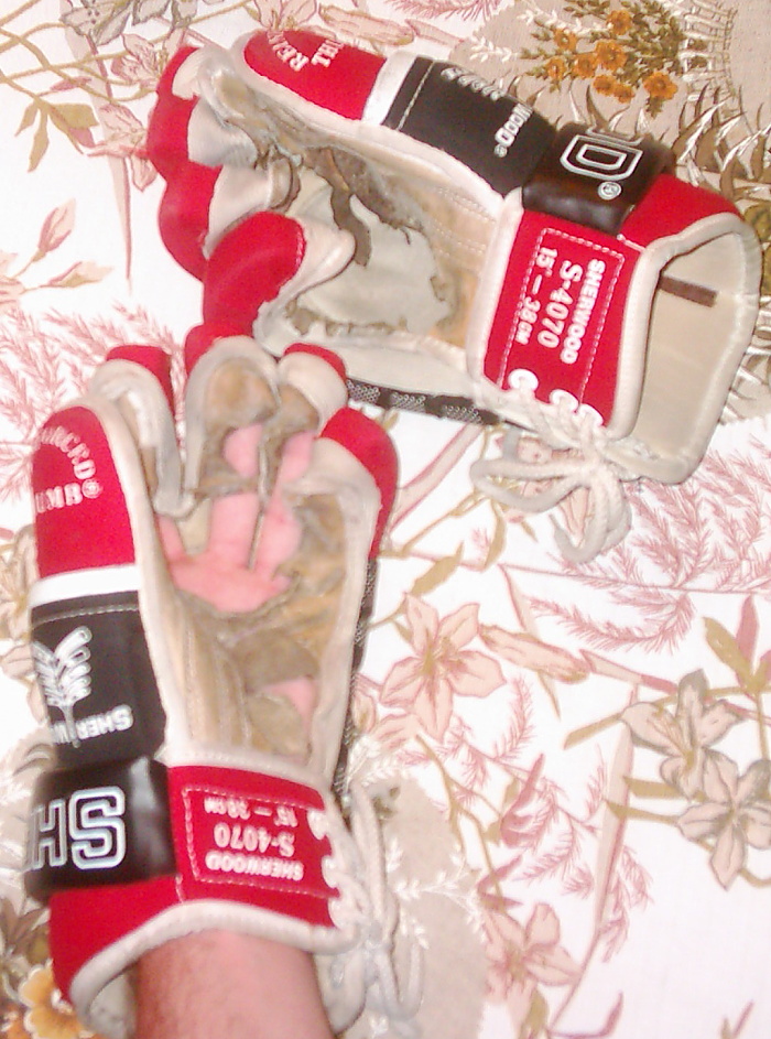 foto k příspěvku  od Legacy 2.5