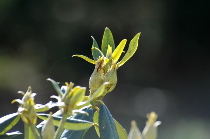 foto k příspěvku  od Zdeny60