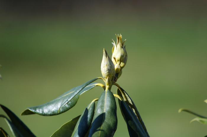 foto k příspěvku  od Zdeny60