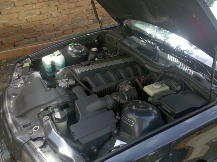 foto k příspěvku  od LastEd