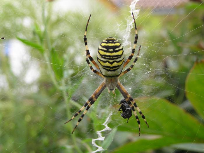 foto k příspěvku  od Zdeny60