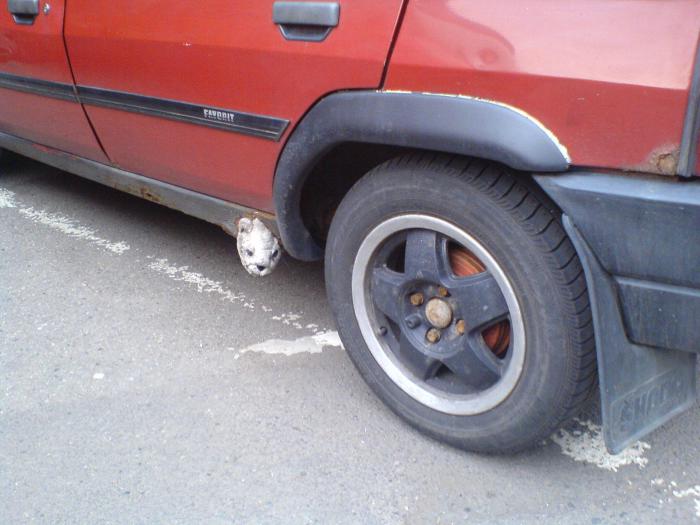 foto k příspěvku  od Rustapha-659